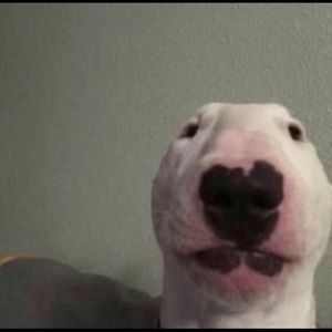 Meet your Posher, Antonella